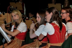 Blasmusik-Rock2015-23