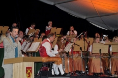 Blasmusik-Rock2015-27