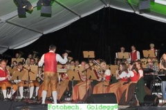 Blasmusik-Rock2015-31