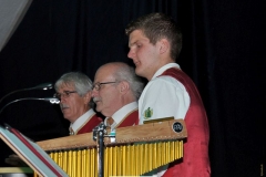 Blasmusik-Rock2015-34